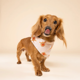 The Paws Rudolph Dog Bandana