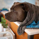 Messy Mutts Microfiber Ultra Soft Dog Towel with Hand Pockets