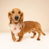 The Paws Rudolph Dog Bandana