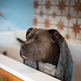 Messy Mutts Microfiber Ultra Soft Dog Towel with Hand Pockets