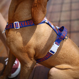 Charlie's Backyard Trip Harness - Blue