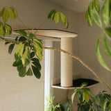 Wall Mounted Cat Scratcher Parkour