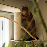 Wall Mounted Cat Scratcher Parkour