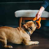 International Classic Poochie Pretzel