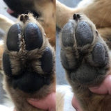 Musher's Secret Dog Paw Wax
