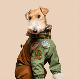 Scout's Honour Belly Rub Club Iron-on Patch For Dogs