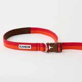 iCandor Gentle Leash Bolt Long - Sunset