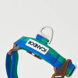 iCandor No Pull Harness - Forest