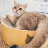 Cozy Cat Scratcher Bowl