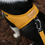 Charlie's Backyard Town Cordura Leash - Yellow