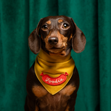 Scout's Honour Foodie Iron-on Patch for Dogs