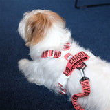 Charlie's Backyard Trip Harness - Berry