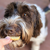 Cod Fish Chips Dog Treat