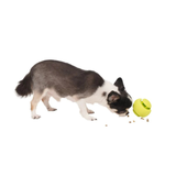 BACON Silicone Nosework Ball Dog Toy