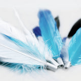 Pidan Pet Teaser Feather Refills for Cats