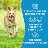 Pet Treatery Fish & Noooo Chips - Premium Dehydrated Cod Skin Treat For Dogs & Cats