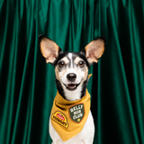 Scout's Honour Belly Rub Club Iron-on Patch For Dogs