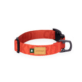 Charlie's Backyard Town Basic Collar - Orange