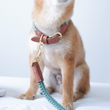 Knotty Pets Braided Knotty Leash - Mint