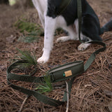 Charlie's Backyard Town Cordura Leash - Black