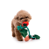BACON Strawberry Vine Nosework Dog Toy