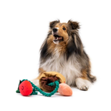 BACON Strawberry Vine Nosework Dog Toy