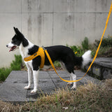 Charlie's Backyard Town Cordura Leash - Yellow