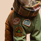 Scout's Honour Belly Rub Club Iron-on Patch For Dogs