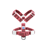 Charlie's Backyard Trip Harness - Berry