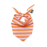 The Paws Nusa Dog Bandana