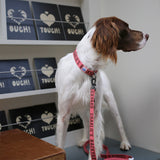 Charlie's Backyard Trip Collar - Berry