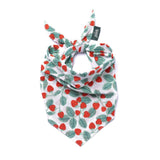 The Paws Henley Dog Bandana