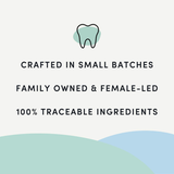 Crumps Plaque Busters Pumpkin Spice Dental Sticks - 10 Count