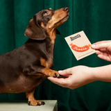 Scout's Honour Foodie Iron-on Patch for Dogs