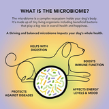 Crumps Gutsy Calm Bites Dog Treats - 130 g