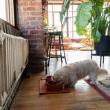 ADC Houndstone & Co. Silicone Dog Bowl - Terracotta