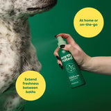 Earth Rated White Tea & Basil Dog Refresh Mist