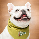 Scout's Honour Zoomies Iron-on Patch For Dogs