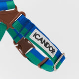 iCandor No Pull Harness - Forest
