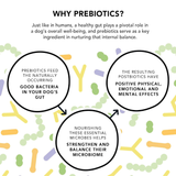 Crumps Gutsy Happy Bites Dog Treats - 130 g