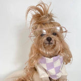 The Paws Bishop Dog Bandana