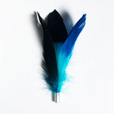 Pidan Pet Teaser Feather Refills for Cats