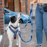 Twiggy Tags Awareness Close Control Lead for Dogs - Nervous