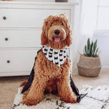 The Paws Batman Dog Bandana