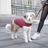 Knotty Pets Reversible Puffy Dog Jacket - Burgundy & Pink
