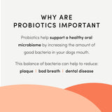 Crumps Plaque Busters Advanced Whole Mouth Probiotic Care Dental Dog Treats - 10 Count