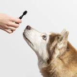 Barkus 360° Soft Bristle Dog Toothbrush Replacement Tips