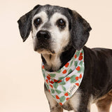 The Paws Henley Dog Bandana