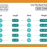 Love Thy Beast Pom Pom Knit Sweater - Ivory