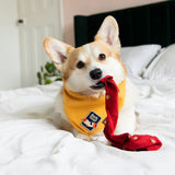 Scout's Honour Sock Thief Iron-on Patch For Dogs